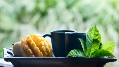 Photo of बाकी डेजर्ट को मुंह लगाना भूल जाएंगे, रस भरे आमों से बनाएं मैंगो फिरनी