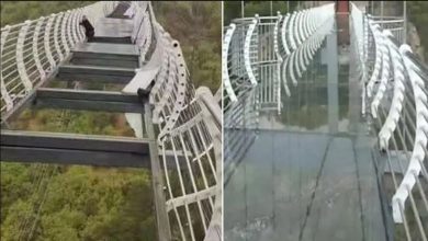 Photo of अचानक टूटा China का Glass Bridge, फिरा जो हुआ जिसे देख सभी हो गए हैरान…
