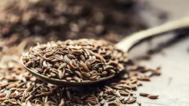 Photo of आपकी सेहत के लिए बेहद फायदेमंद हैं, भुना हुआ जीरा और काला नमक