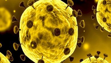 Photo of वैज्ञानिकों ने की भविष्यवाणी: आने वाले कुछ माह में कोरोना से मिल सकती है राहत