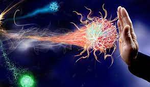 Photo of इन चीजों से तुरंत बना लें दूरी, इम्यूनिटी को तेजी से करता हैं कमजोर