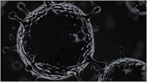 Photo of भारत में तेजी फ़ैल रहा हैं ब्लैक फंगस, इन राज्यों में सबसे ज्यादा प्रभावित