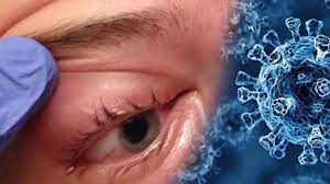 Photo of स्टडी में हुआ बड़ा खुलासा: पुरुषों के लिए हैं ‘ब्लैक फंगस’ सबसे ज्यादा खतरनाक…