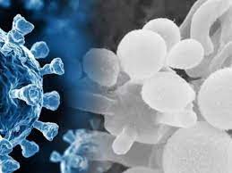 Photo of सामने आए चौका देने वाले मामले, इन लोगों में भी दिखे ब्‍लैक फंगस के लक्षण