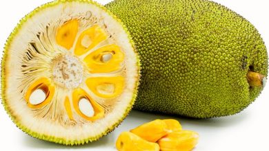 Photo of इस बीमारी के मरीजो के लिए बेहद फायदेमंद है कटहल…