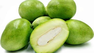 Photo of सेहत के लिए बेहद गुणकारी हैं कच्चा आम, इम्युनिटी बढ़ाने में कारगर