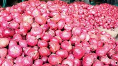 Photo of केंद्र सरकार ने राजस्थान सहित पांच प्याज उत्पादक राज्यों से आगामी खरीफ सीजन के दौरान प्याज का कुल रकबा 9,900 हेक्टेयर बढ़ाने का दिया निर्देश