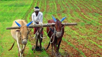 Photo of 11 करोड़ से अधिक किसानों के पास सुनहरा मौका,  मोदी सरकार दे रही है…