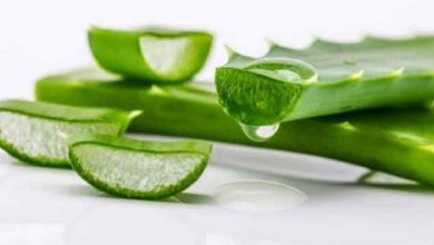 Photo of एलोवेरा के उपयोग से इन समस्याओं से पाए छुटकारा