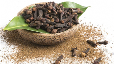 Photo of पुरानी सी पुरानी खाँसी से मिलेगा छुटकारा, तुरंत दिखेगा फायदा अपनाए ये नुस्खा