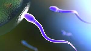 Photo of सामने आया अजीबोगरीब मामला, डॉक्टर ने अपने स्पर्म से की धांधली