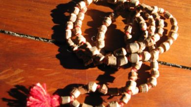 Photo of आखिर गले में क्यों पहनी जाती हैं तुलसी की माला, जान लें इसके पीछे की वजह