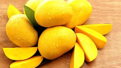 Photo of आम को कभी नहीं रखना चाहिए फ्रिज में, जान ले नुकसान…