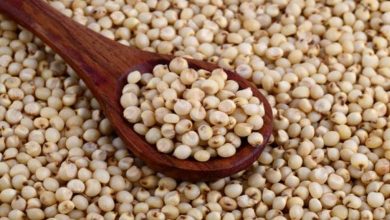 Photo of डायबिटीज के रोगियों के लिए बेहद फायदेमंद हैं ज्वार, जानें इसके कमाल के फायदे…