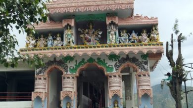 Photo of यहां पत्थर से बनी देवी मां की मूर्ति को आता है पसीना, सच्चाई जानकर सभी हैरान…