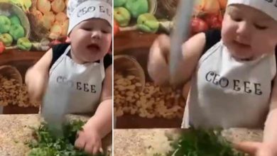 Photo of तेजी से धमाल मचा रहा हैं सब्जी काटते हुए इस बच्चे का वीडियो, देखकर सभी हो गए हैरान…
