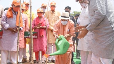 Photo of मुख्यमंत्री ने जनपद सुलतानपुर में वृक्षारोपण जनान्दोलन-2021 के अन्तर्गत ग्रीनफील्ड पूर्वांचल एक्सप्रेस-वे पर वृहद वृक्षारोपण कार्यक्रम का किया शुभारम्भ