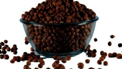 Photo of प्रोटीन का बेहतरीन सोर्स माना जाता है काला, इसके सेवन से…