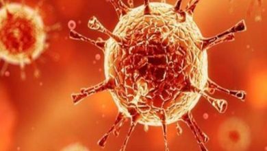 Photo of पिछले 24 घंटों में देश में आए कोरोना के 41 हजार से ज्यादा नए मामले, 895 लोगों की मौत