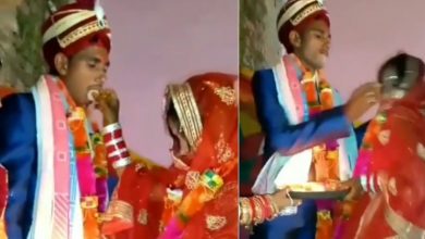 Photo of दुल्हन को कुछ इस अंदाज में दुल्हे खिलाया रसगुल्ला, वीडियो देख आप भी हो जाओगे हैरान…