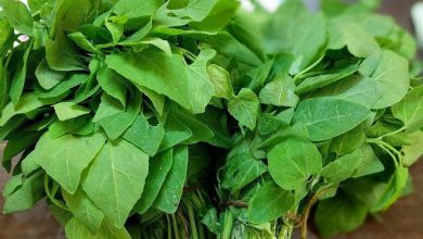 Photo of बथुआ खाने से सेहत को होते हैं ये कमाल के फायदे…
