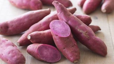 Photo of शकरकंद खाने से हमारे शरीर को होते हैं ये कमाल के फायदे…