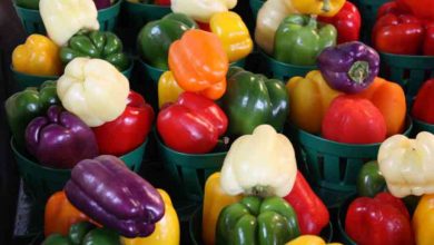 Photo of तो इलसिए पेनकिलर कही जाती हैं शिमला मिर्च, जानें इसके कमाल के फायदे