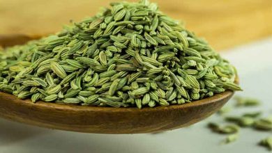 Photo of शरीर की कई समस्या से छुटकारा दिलाती है सौंफ, जान ले इसके सेवन के फायदे..