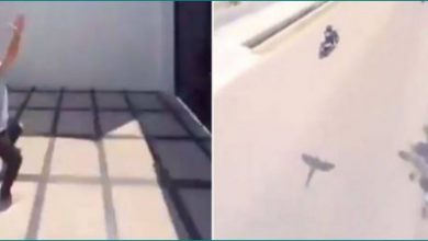 Photo of शख्स से मोबाइल छीनकर उड़ा तोता, वीडियो देख हो जाओगे हैरान…