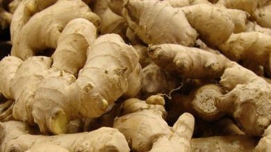 Photo of ज्यादा अदरक का सेवन भी सेहत के लिए खतरनाक, रखें इन बातों का ध्यान