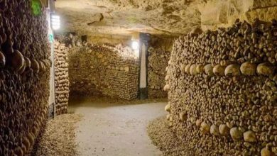 Photo of ‘कब्रों का तहखाना’, 60 लाख इंसानी कंकाल से बनी हैं यह भयावह जगह
