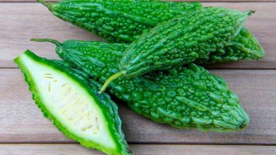 Photo of कोरोना काल में करेला हैं बेहद फायदेमंद, ऐसे करें सेवन…