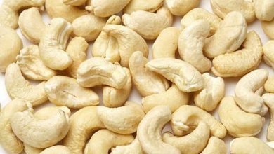 Photo of काजू के सेवन से शरीर को होते हैं ये कमाल के फायदे, जानकर हो जाओगे हैरान…
