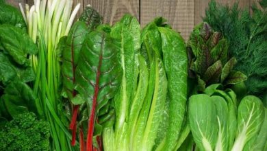 Photo of पत्तेदार सब्जियों को खाने से सेहत को होते हैं ये कमाल के लाभ…