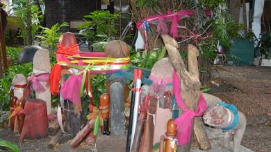 Photo of इस मंदिर में चढ़ता हैं लकड़ी का लिंग, कारण जानकर हो जाएगे हैरान…