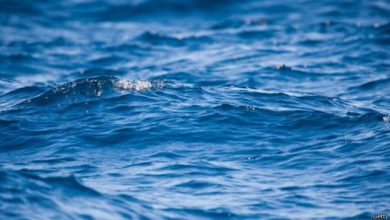 Photo of भारत के 12 शहर 2100 तक आधा फीट से लेकर पैने तीन फीट समुद्री जल में समा सकते हैं: नासा