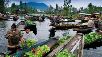 Photo of क्या आप भी घूमने का बना रहे है प्लान तो जरूर करें इन जगहों की सैर