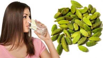 Photo of सेहत के लिए बेहद फायदेमंद होता हैं इलायची का पानी, ऐसे करें सेवन…