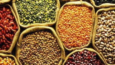 Photo of दाल के आयात को लेकर भारत और म्यांमा के बीच समझौता ज्ञापन पर हुए हस्ताक्षर, पढ़े पूरी खबर