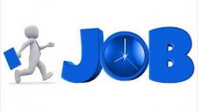 Photo of जानिए सरकारी नौकरी के कौन सी डिग्री कोर्सेज हैं बेहतर