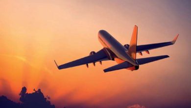 Photo of विमानन कंपनी Go First ने श्रीनगर से संयुक्त अरब अमीरात के शारजाह के लिए सीधी हवाई उड़ान सेवा की शुरू