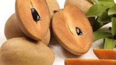 Photo of आंखों के लिए वरदान है चीकू, जानें-इसके अद्भुत फायदे