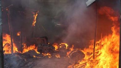 Photo of कानपुर में रुई गोदाम और तकिया कारखाने में भीषण आग लगने से लोगो मे मच गई अफरा तफरी