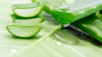 Photo of जाने कैसे इन बीमारियों में एलोवेरा का इस्तेमाल बिगाड़ सकता है आपकी सेहत…