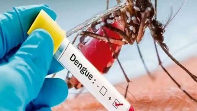 Photo of एक्टपर्ट्स के मुताबिक डेंगू वायरस DENV 2 को माना जा रहा है सबसे घातक, जानिए इसके लक्षण