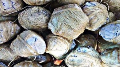 Photo of महाराष्ट्र के रायगढ़ देसी बम के धमाके से एक की मौत