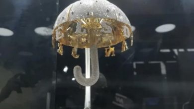 Photo of छतरी पर हीरे-सोने की बरसात, देखकर लोगों हुए हैरान