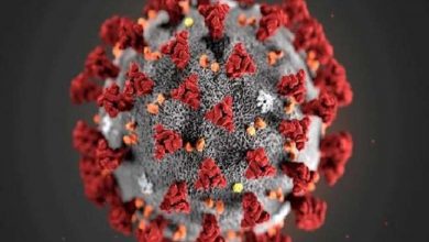 Photo of कोरोना के नए वैरिएट ‘ओमीक्रोन’ को लेकर फाइजर और बायोएनटेक ने दिया ये बड़ा बयान, जानें क्या कहा….