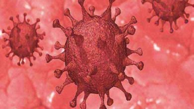 Photo of उत्तराखंड सरकार ने नए वैरिएंट के  खतरे को देखते हुए इन लोगों के लिए RTPCR टेस्ट किया अनिवार्य