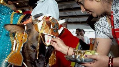 Photo of 12 नवंबर को मनेगी गोपाष्टमी, जानिये क्‍या है गौ पूजन का महत्‍व